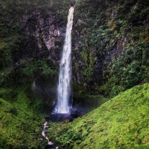 Waterfall Tamzin Henderson 1