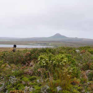AT220 Hamish brackenTeWhanga service August 2025 Image CILRT