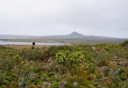 AT220 Hamish brackenTeWhanga service August 2025 Image CILRT