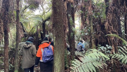BioBlitz practice walk