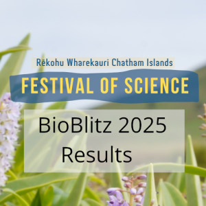 BioBlitz results webheader