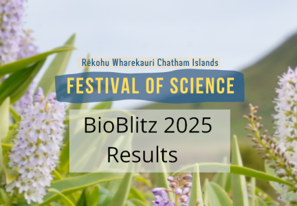 BioBlitz results webheader