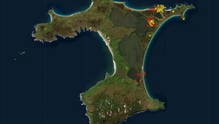 Banded dotterel map