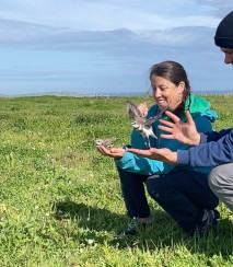 Levi and Katie Gray releasing a pair of colour banded Banded Dotterels near Kaingaroa
