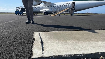 Our first nest of the Chatham Island expedition directly beside the tarmac