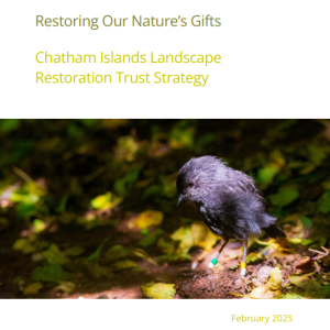 CILRT Strategy February 25