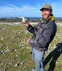 EberhartHertel with a newly colour banded Banded Dotterel at Okawa Point