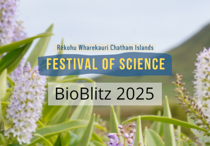 FOS BioBlitz webheader