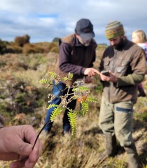 Halfway Bush BioBlitz