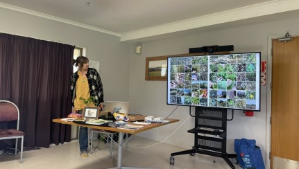 Jess presenting about the BioBlitz at Kopinga