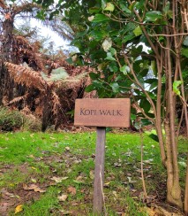 Kopi Bush Walk