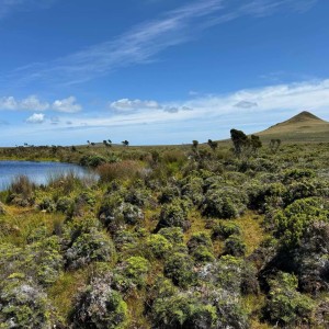Lake Hemokawa Image Milly Farquhar