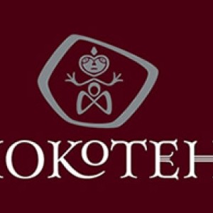 hm logo