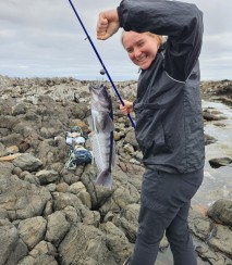 Blue cod. Image iNaturalist Kat Holt