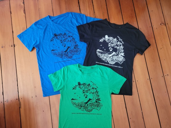 Funraising Tshirts three colours