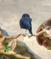 BOTY creation of karure
