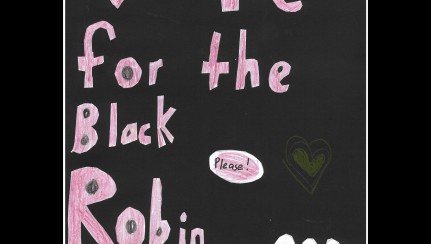 Black Robin - Clara