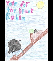 Black Robin Elodie