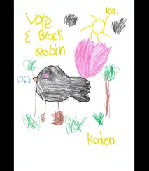 Black Robin Koden