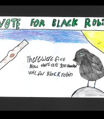 Black Robin Millie