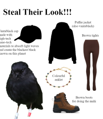 stealtheirlook