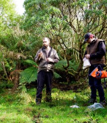 Hamish and Tim collecting seed at Halfway Bush