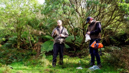 Hamish and Tim collecting seed at Halfway Bush