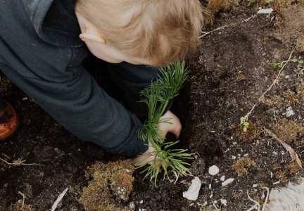 Kaingaroa Kickoff planting day July 2024 Image HMT LANDSCAPE