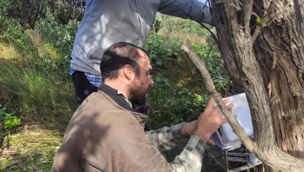 Tour with Lou FOS 20205 1