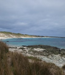 View at Kaingaroa