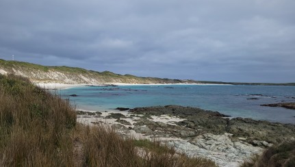 View at Kaingaroa