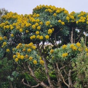 Rautini on Tuku Road Image: Katherine Holt