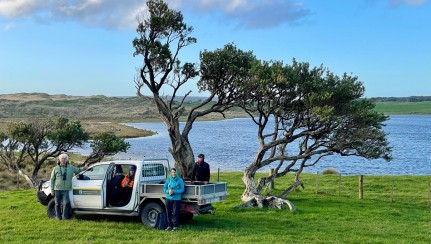 The Banded Dotterel team at Lake Marakapia from left Bart Kempenaers Emma Williams Katie Gray and Kim Teltscher plus photographer Luke Eberhart Hertel